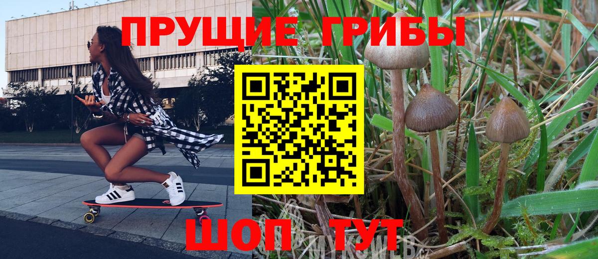 Галлюциногенные грибы GOLDEN TEACHER  Вход с VPN  Псилоцибиновые грибы Psilocybe  Чехов 