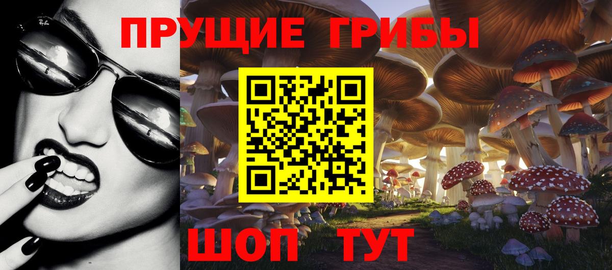 Псилоцибиновые грибы Psilocybe Чехов